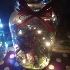 Vánoční dekorace svítící zátiší ve sklenici 2