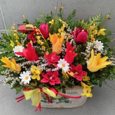 Truhlík Jarní větší různé provedení dle dostupnosti