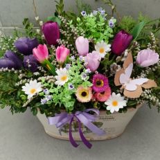 Truhlík Jarní větší různé provedení dle dostupnosti