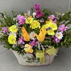 Truhlík Jarní větší různé provedení dle dostupnosti