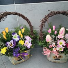 Truhlík Jarní mensí různé provedení dle dostupnosti