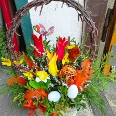 Truhlík Jarní mensí různé provedení dle dostupnosti