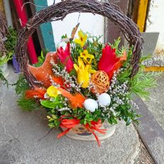 Truhlík Jarní mensí různé provedení dle dostupnosti